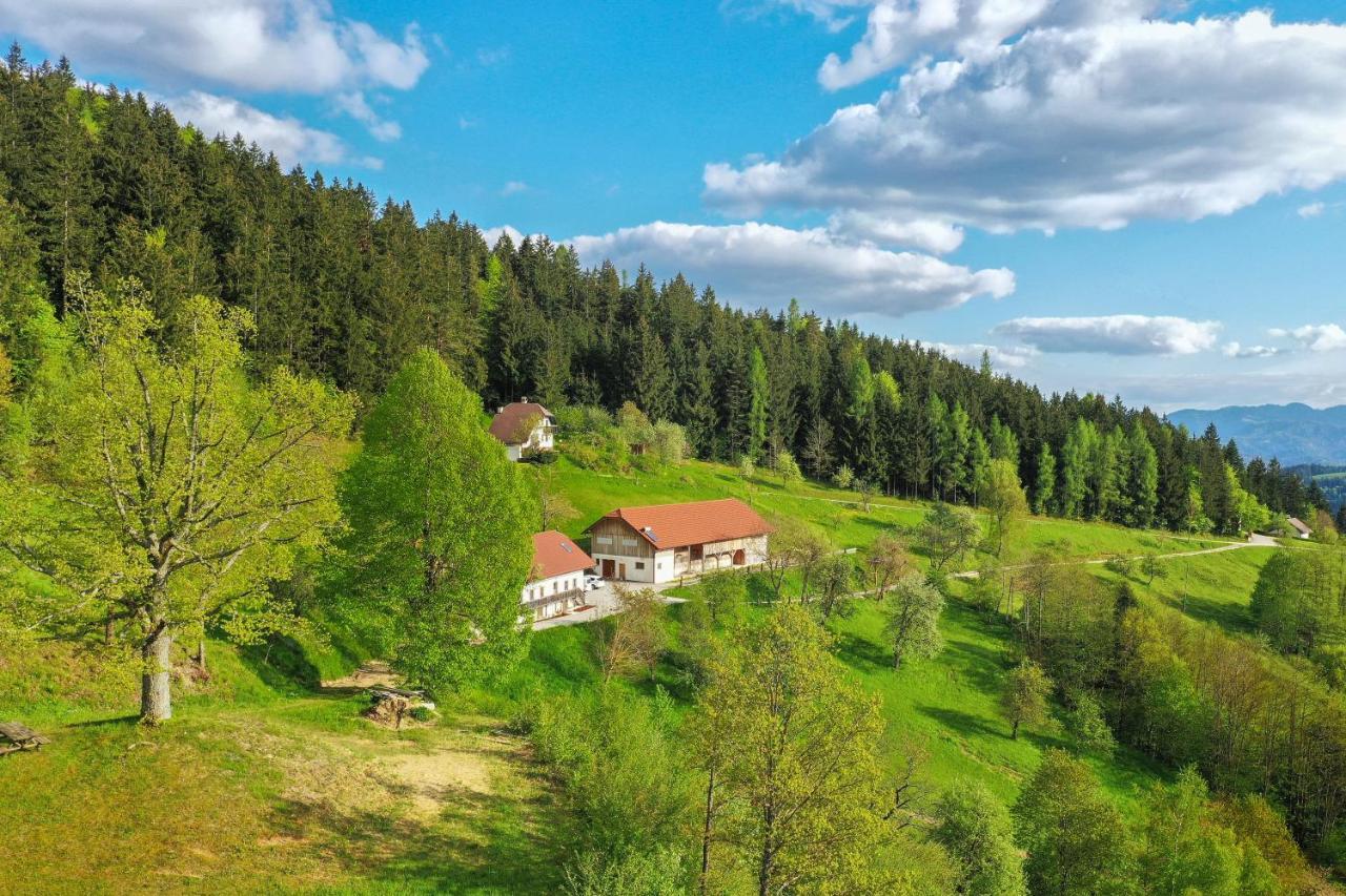 Villa Richterberg With Sauna & Hot Tub Словень Градець Екстер'єр фото